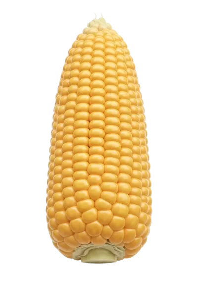 Imagen PNG para descargar